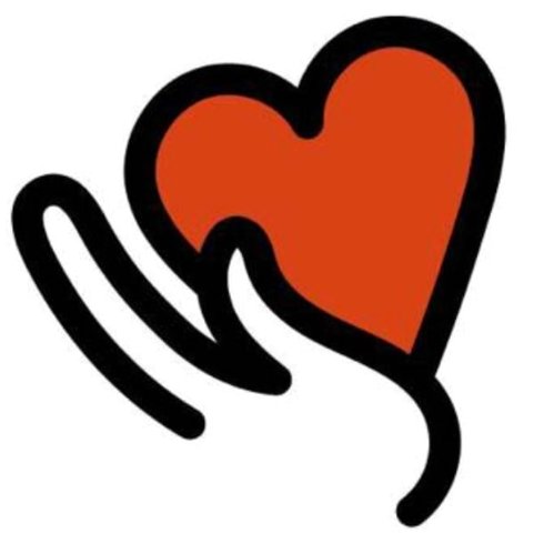 Naoru IT Logo